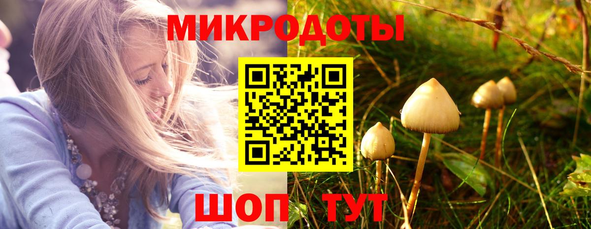 Галлюциногенные грибы Psilocybe Хабаровск