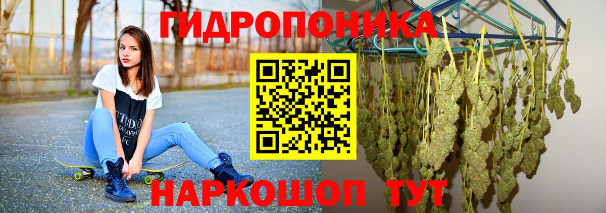 Хабаровск  Каннабис планчик  Конопля тримм  Конопля VHQ  Вход с VPN  Бошки Шишки LSD WEED 